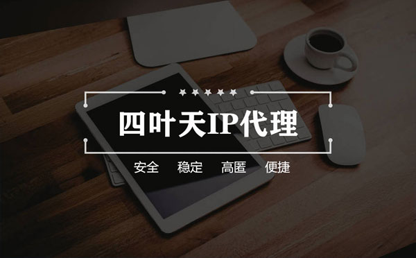 【吴忠代理IP】如何快速搭建代理IP？怎么检查代理的效果？